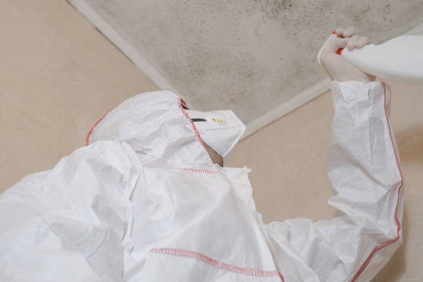 Best Home Mold Removal  in Star City, WV